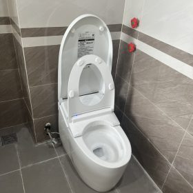 Bồn cầu tự động TOTO CES9710 dòng AS nhiều chức năng